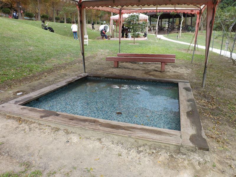 玩水的池