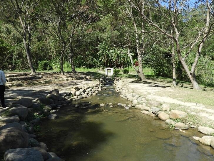 生態公園的小溪流