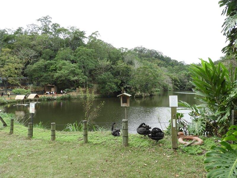 新竹綠世界生態農場鴛鴦湖