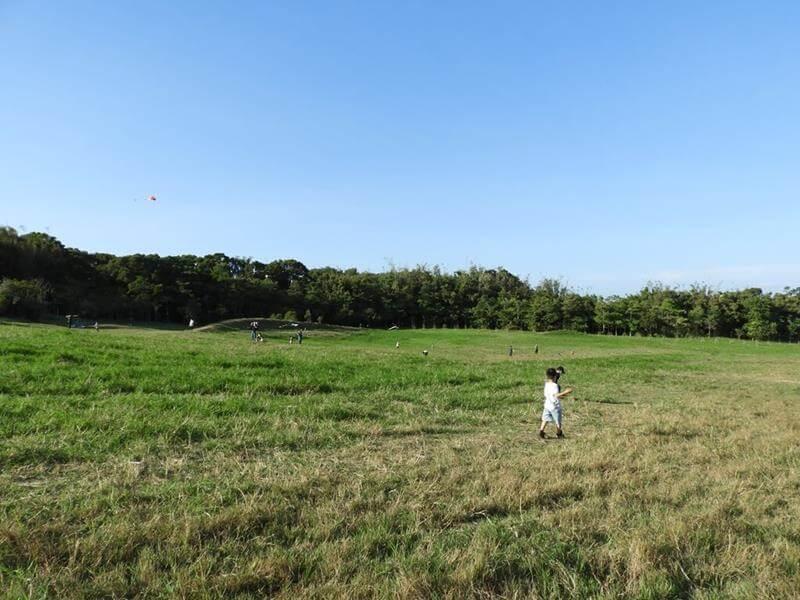 可以野餐、可以奔跑也可以放風箏的超大草園區