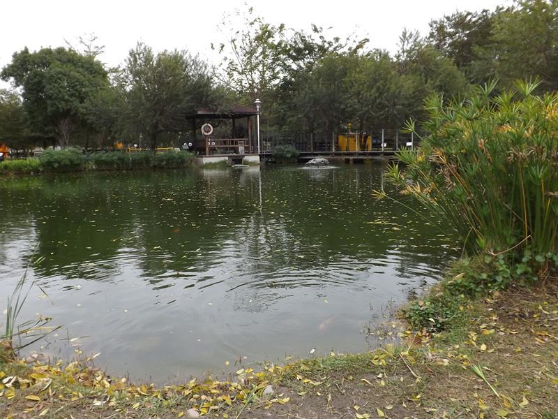 停車場旁邊這裡有一個生態池