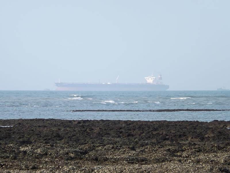 在許厝港溼地可以看到海上的貨輪