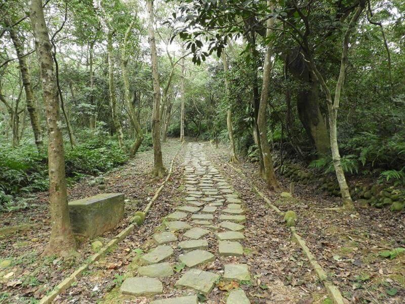 東森山林步道有鋪設很多石板路