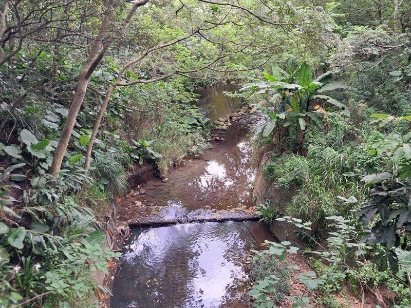 莊園旁的老坑溪