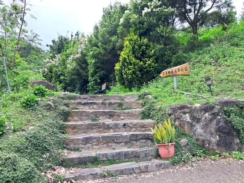 芬多精療育草地區